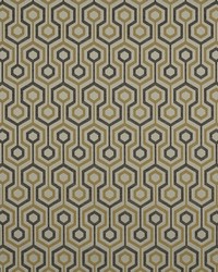 Connexion 960 Pyrite by  Covington 