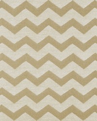 Sd-cozumel 117 Shell by  Covington 