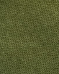 Genesis 293 Basil by  Covington 