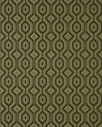 Groovy 9 Graphite by  Covington 