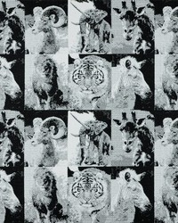 HABITAT 916 EBONY/IVORY by   