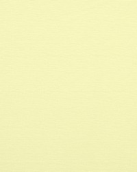 Hanson 10 Bone by  Covington 