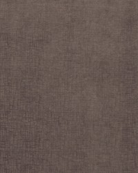 Hanson 710 Amethyst by  Covington 