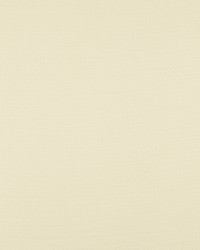 HP Rye 106 Canvas by  Covington 