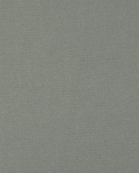 HP Rye 908 Platinum by  Covington 