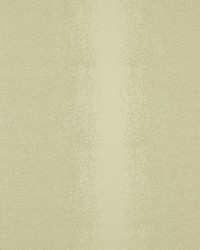 Illuminaire 10  Champagne by  Covington 