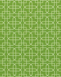 Izula 251 Island Green by  Covington 