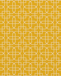 Izula 8 Golden by  Covington 