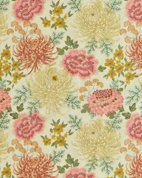 JACINDA 70  BLOSSOM by   