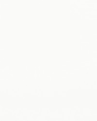 Jeanz 143 Optic White by   