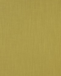 Linden 244 Acid Green by  Covington 