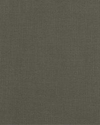 Linden 908 Platinum by  Covington 