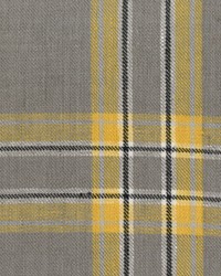 Maclean 90 Dove by  Covington 