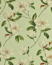 MAGNOLIA 20  MINT by   