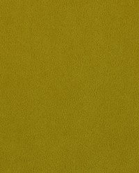 Majestic 244 Acid Green by  Covington 