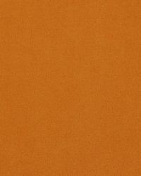 Majestic 319 Pumpkin by  Covington 