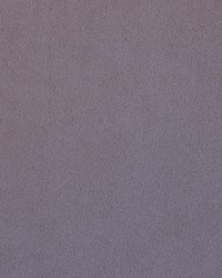 Majestic 428 Amethyst by  Covington 