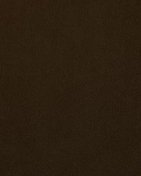 Majestic 603 Chocolate by  Covington 