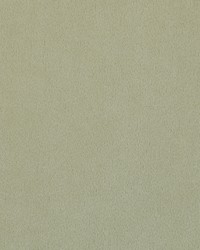 Majestic 90 Silver by  Covington 