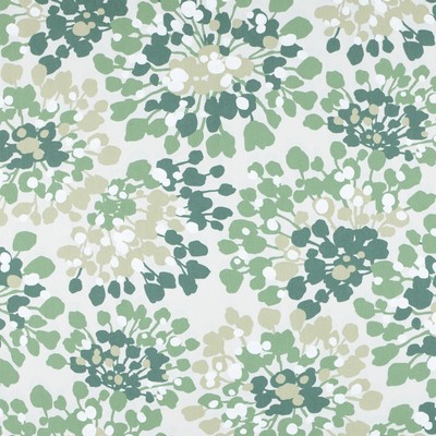 Magnolia Home Fashions MG-STARLIGHT CACTUS MG-STARL-CACTUS Green COTTON COTTON Fire Rated Fabric Abstract Floral  Modern Floral Large Print Floral  Fabric