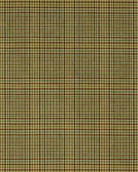 Monroe 612 Wild Turkey by  Covington 