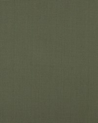 Newman 619 Truffle by   