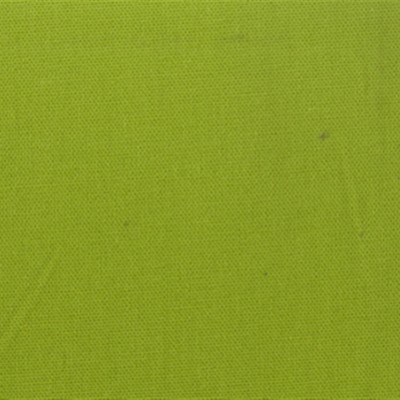 Pebbletex 208 Apple Green Green COTTON Fire Rated Fabric