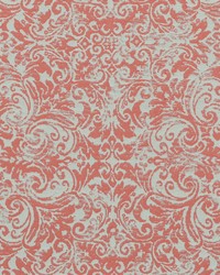 Priscilla 74 Coral by   