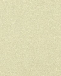 Radiance 10  Champagne by  Covington 