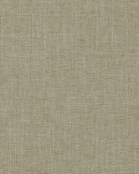 Rodeo 196 Linen by  Covington 