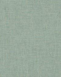 Rodeo 545 Mineral by  Covington 