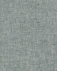 Rodeo 549 Gusty by  Covington 