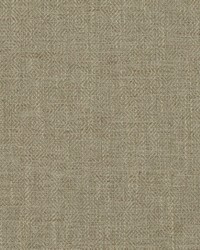 Rodeo 660 Hemp by  Covington 