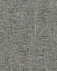 Rodeo 908 Platinum by  Covington 