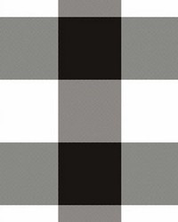 Sandwell 916 Ebony ivory by  Covington 