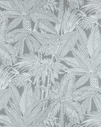 SD-CANARY ISLANDS 95 DOLPHIN by   