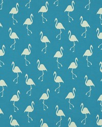 Sdflamingo 542 Caribe by   