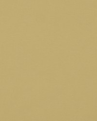 Sdzen 112 Ecru by  Covington 