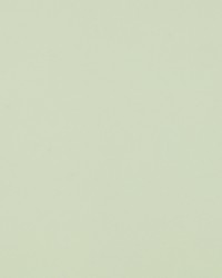 Sdzen 130 White by  Covington 