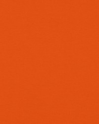 Sdzen 320 Orange by  Covington 