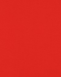 Sdzen 332 Fiesta by  Covington 