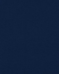 Sdzen 557 Dk Denim by  Covington 