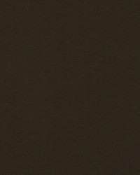 Sdzen 605 Coconut by  Covington 