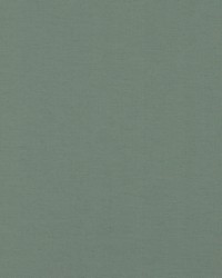 Sdzen 95  Dolphin by  Covington 