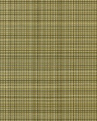 Sebastian 114 Seashell by  Covington 