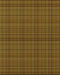 Sebastian 361 Brown Blaze by  Covington 