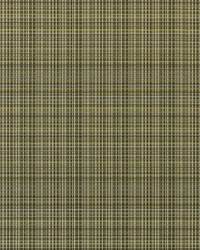 Sebastian 427 Heather Moon by  Covington 