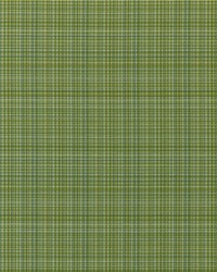 Sebastian 542 Caribe by  Covington 