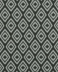 Sigmar 916 Ebony Ivory by  Covington 