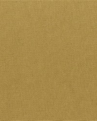 Spinnaker 1 Honey Beige by  Covington 